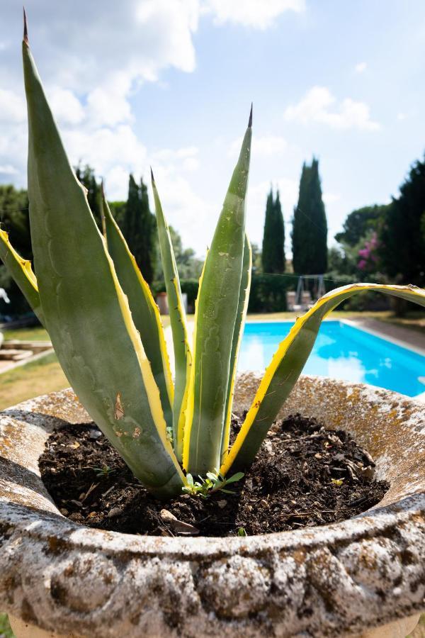 Appartamento Villa Matone Grottaferrata Εξωτερικό φωτογραφία